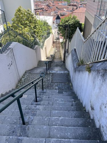 IMG 3974